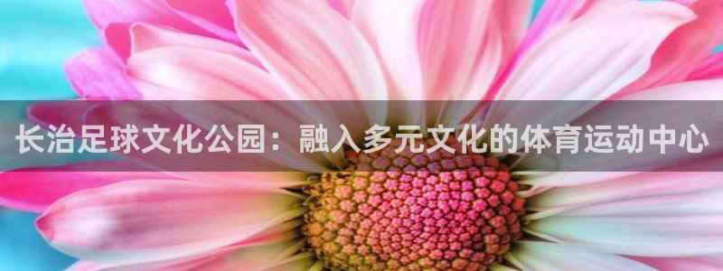 678体育官网下载