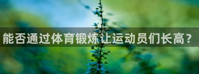 678体育