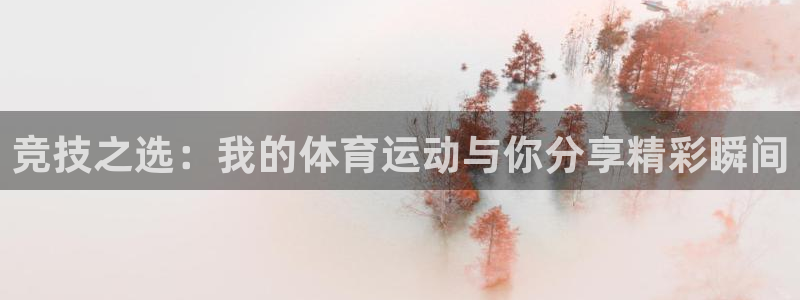 678体育官网