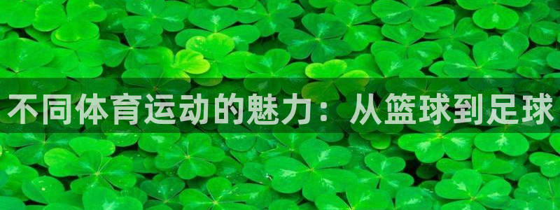678体育app