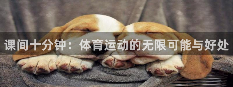 678体育app