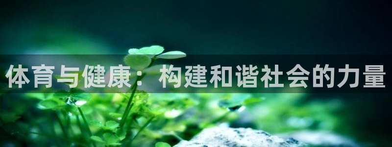678体育官网