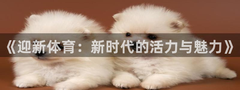 678体育官网地址