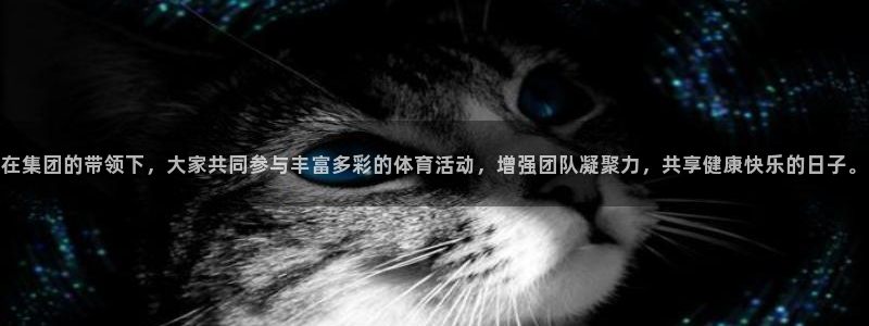 678体育官网